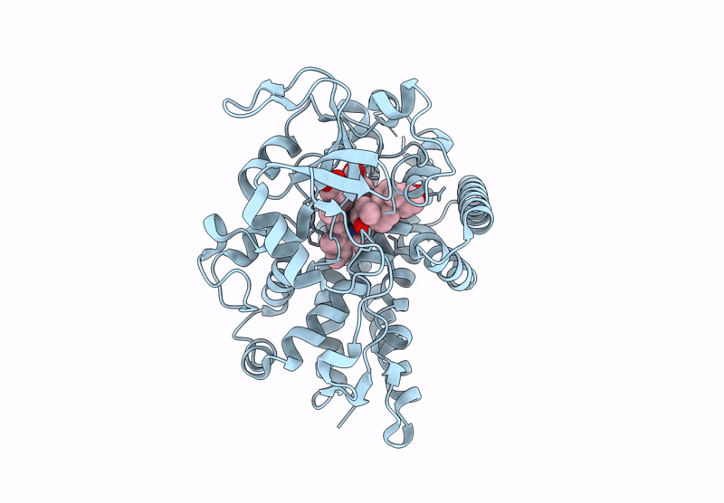 9JS9 image