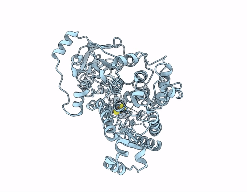 9JSQ image