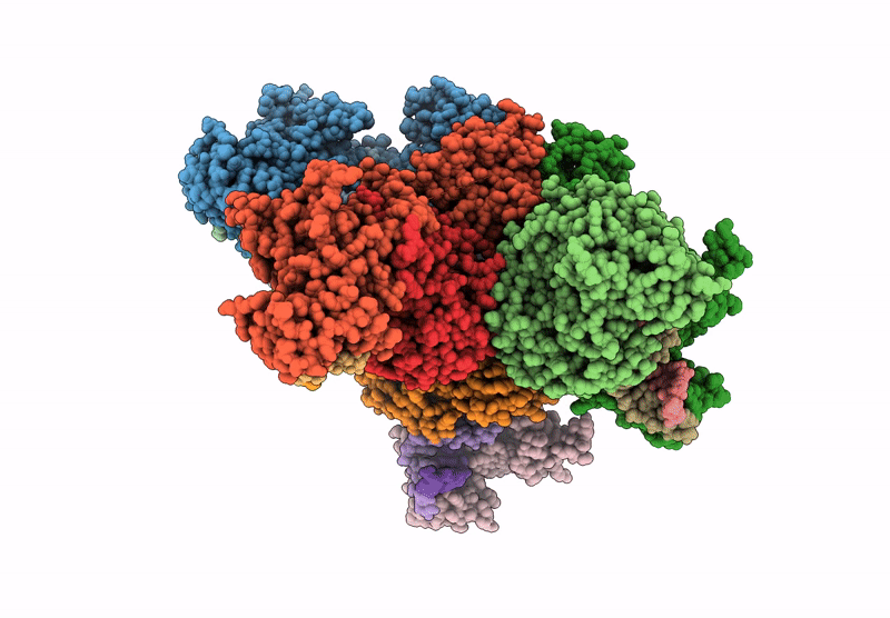 9JSZ image