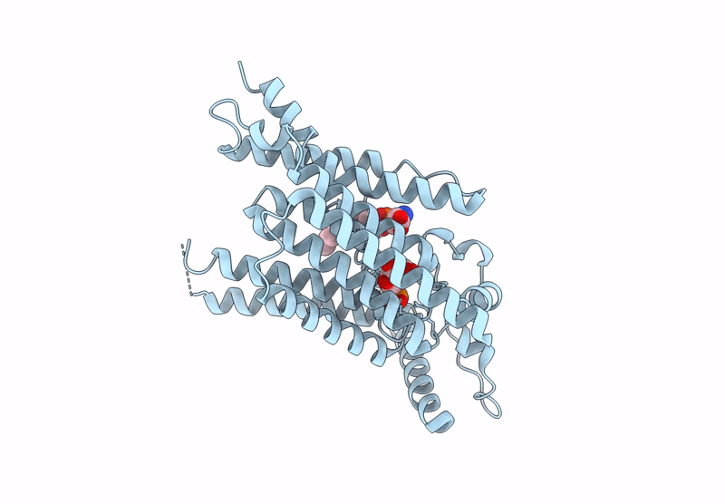 9JTM image