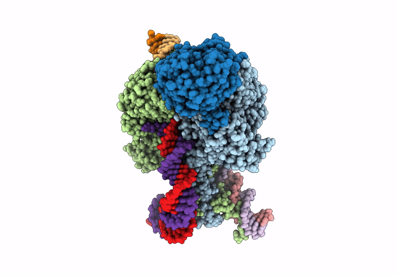 9JTU image