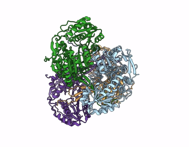 9JV6 image