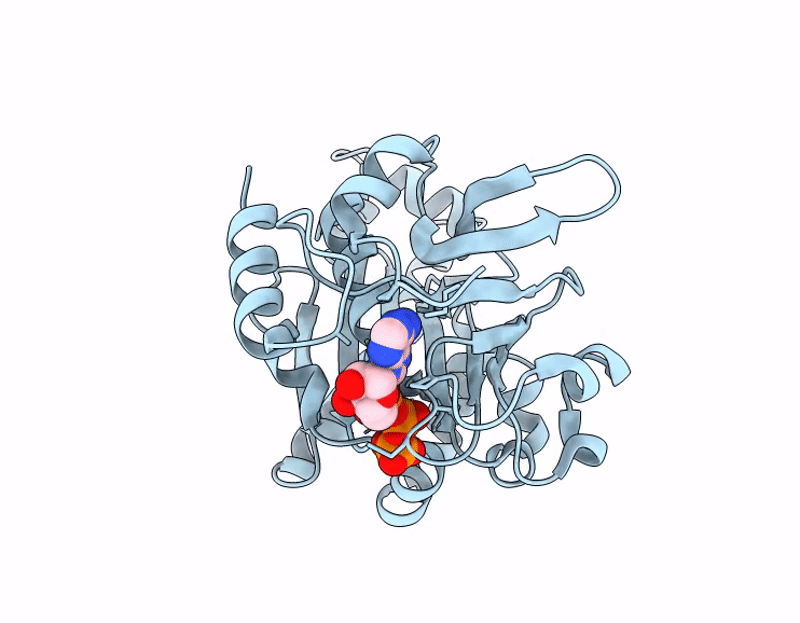 9JV8 image