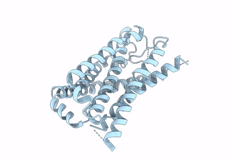 9JVM image