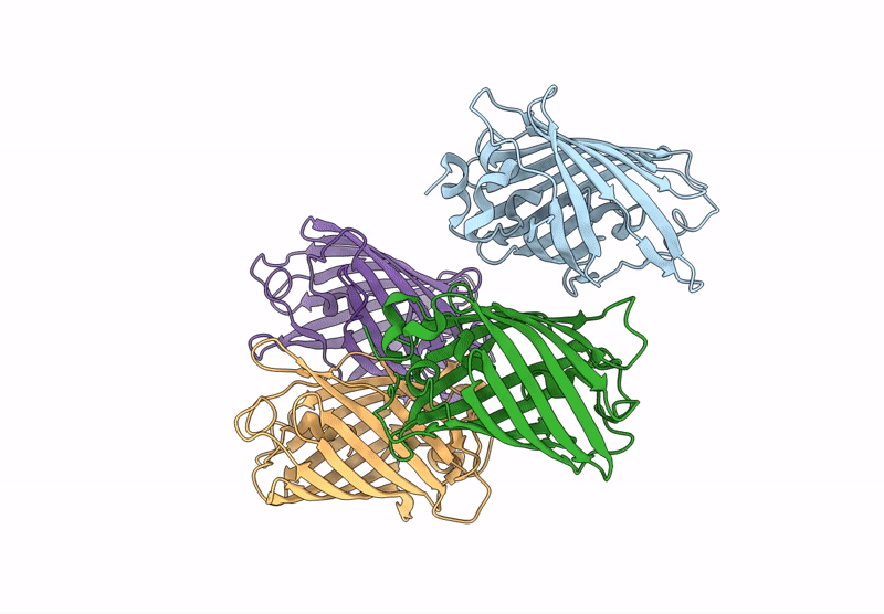 9JVR image