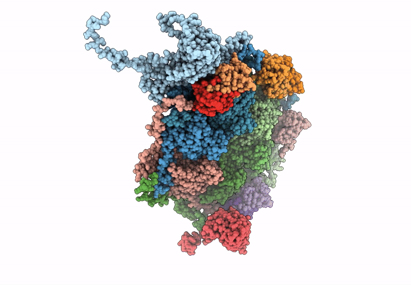 9JWB image