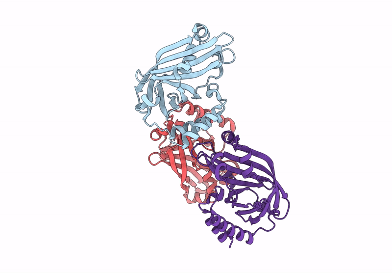 9JWR image