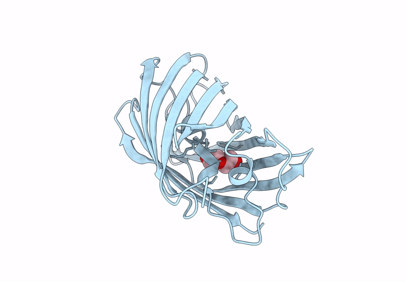 9JX2 image