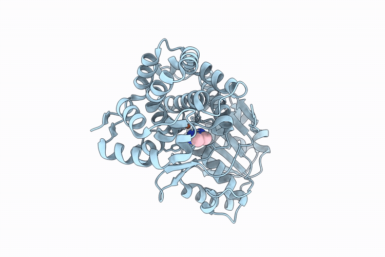 9JX4 image