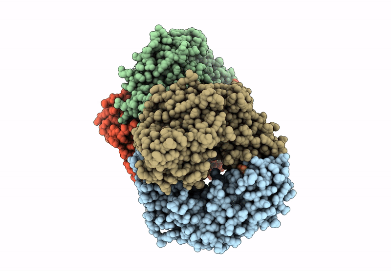 9JXX image