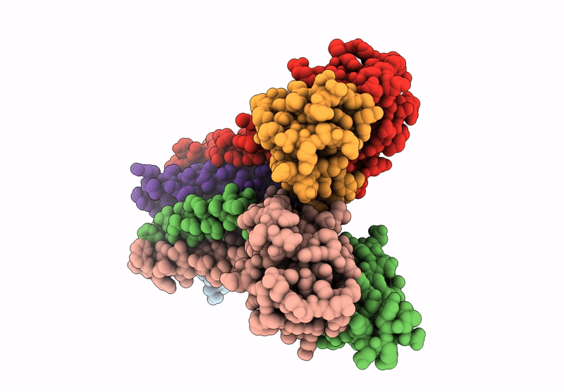 9JXZ image