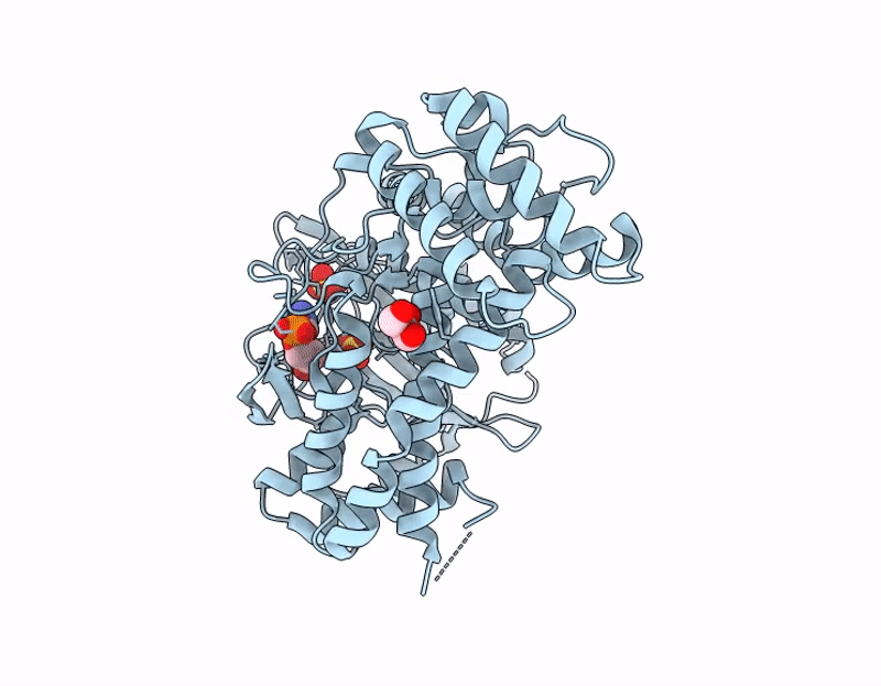 9JYM image