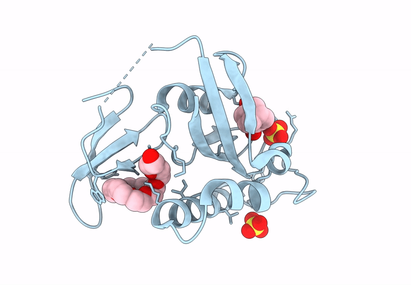 9JYT image