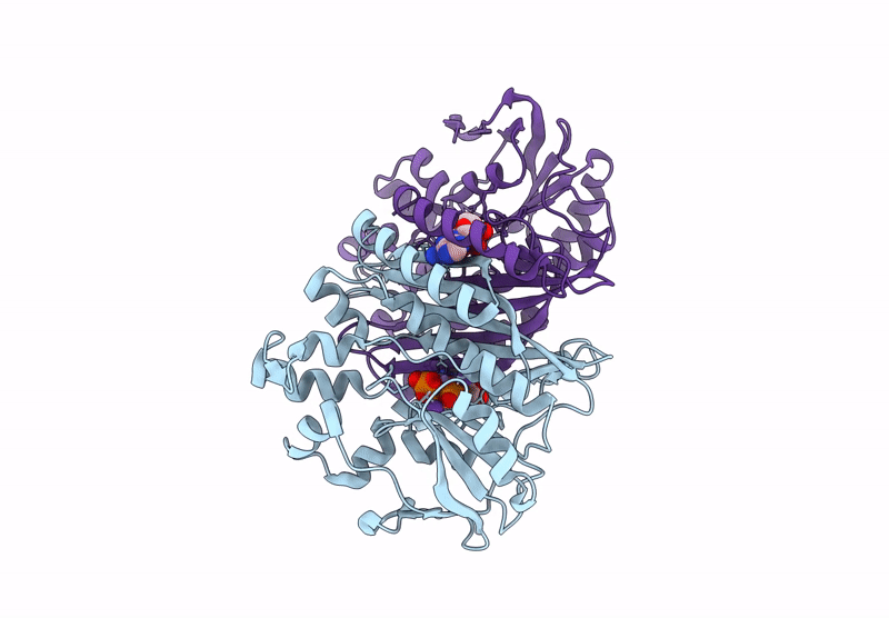 9K04 image