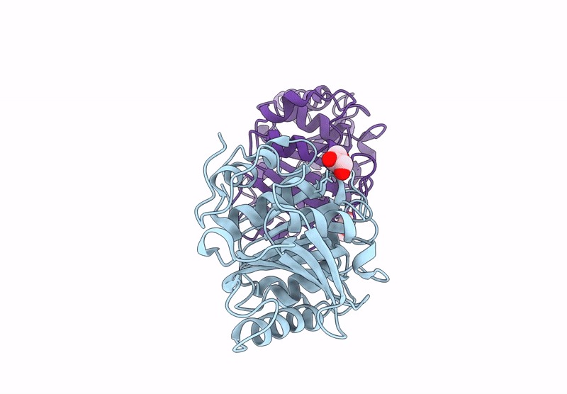 9K0H image