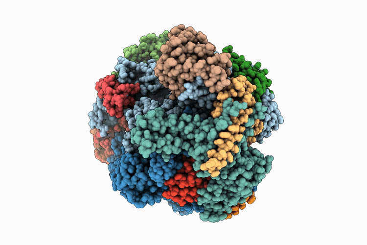 9K12 image
