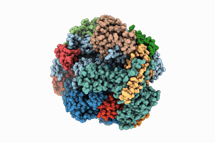 9K13 image