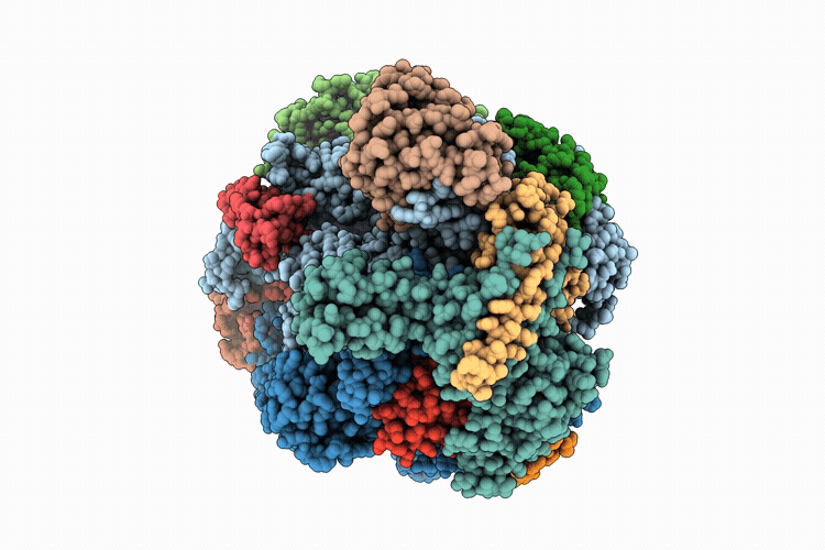 9K15 image