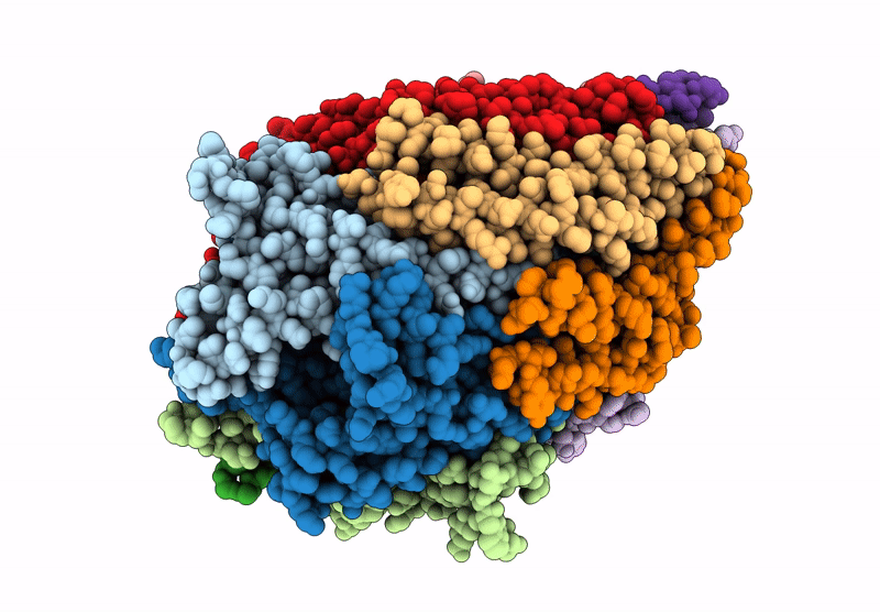 9K29 image