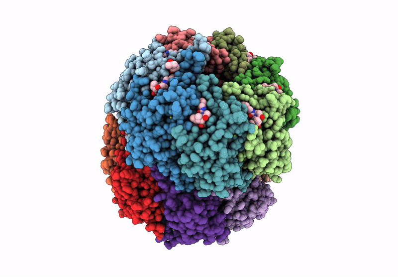 9K2B image