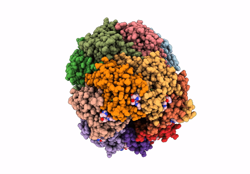 9K2C image