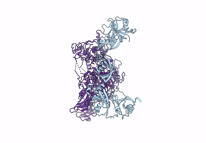 9K2W image
