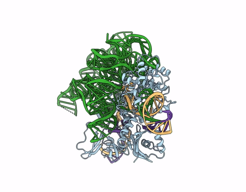 9K31 image