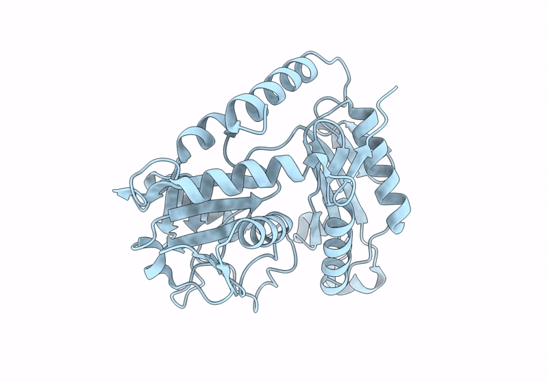 9K35 image