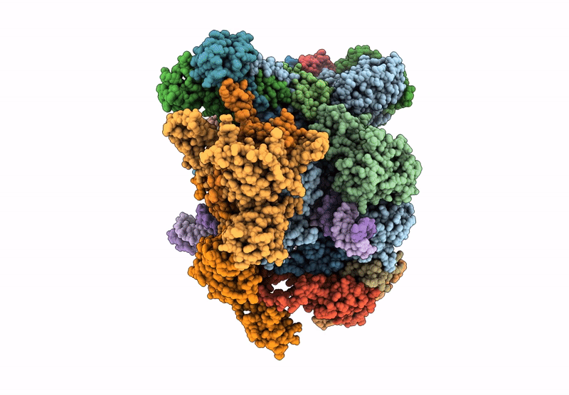 9K38 image