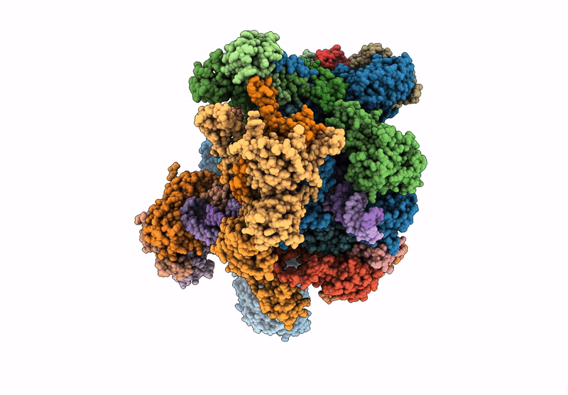 9K3V image