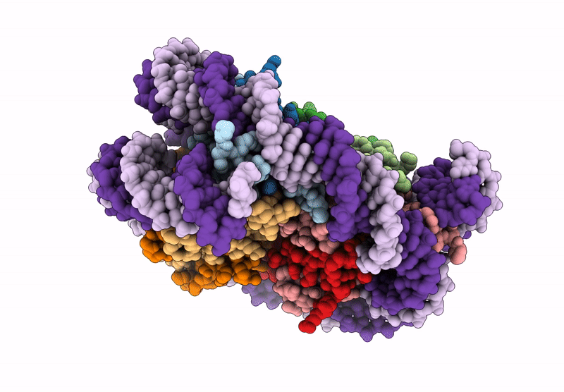 9K44 image