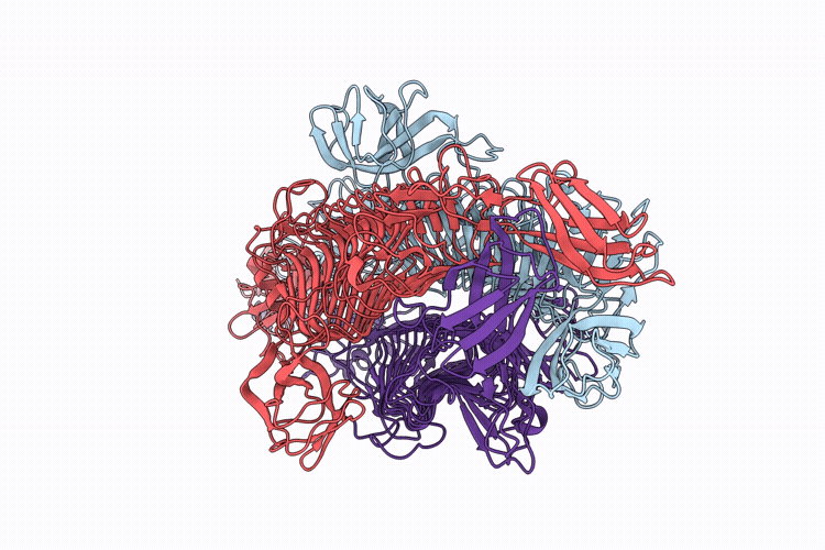 9K4B image
