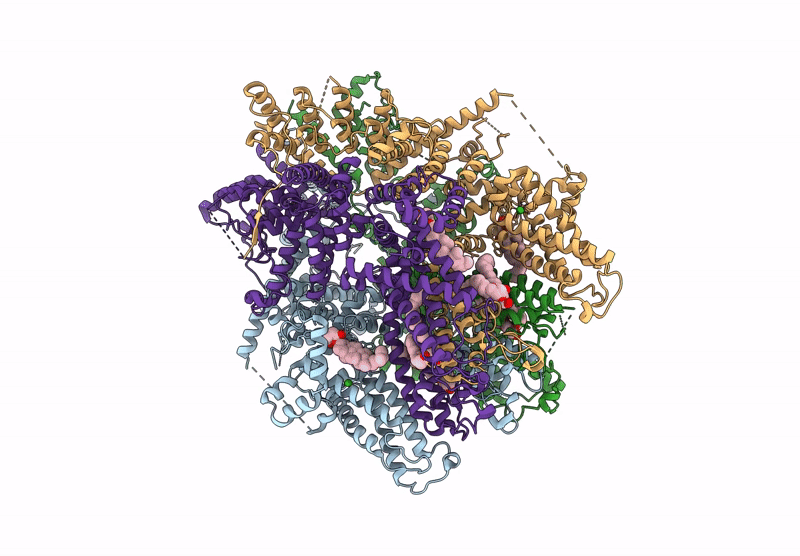 9K4I image