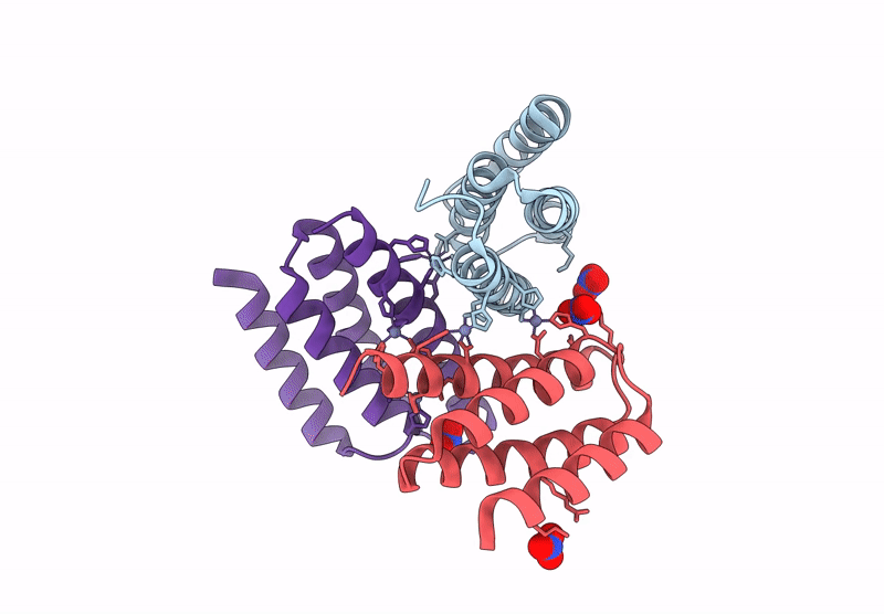 9K5P image