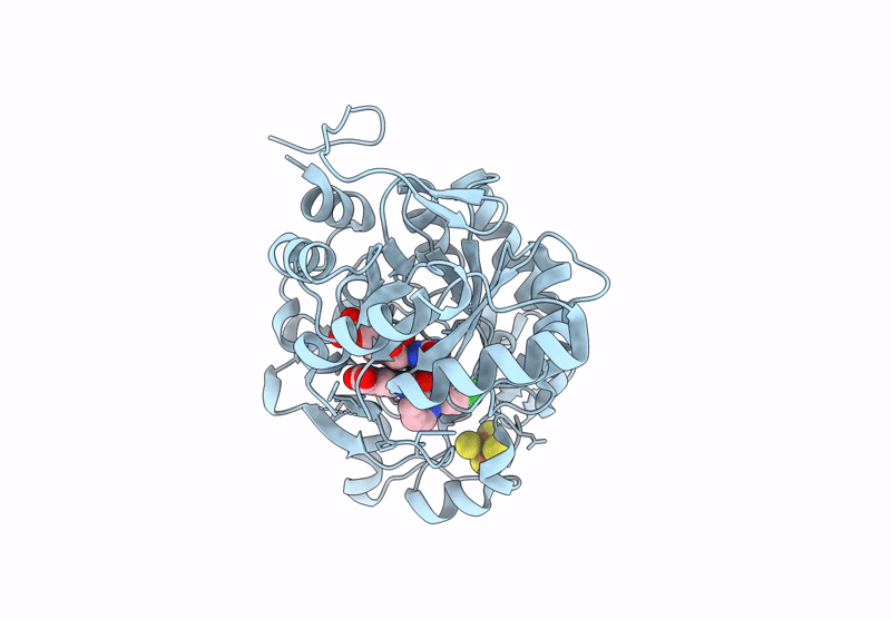 9K7H image