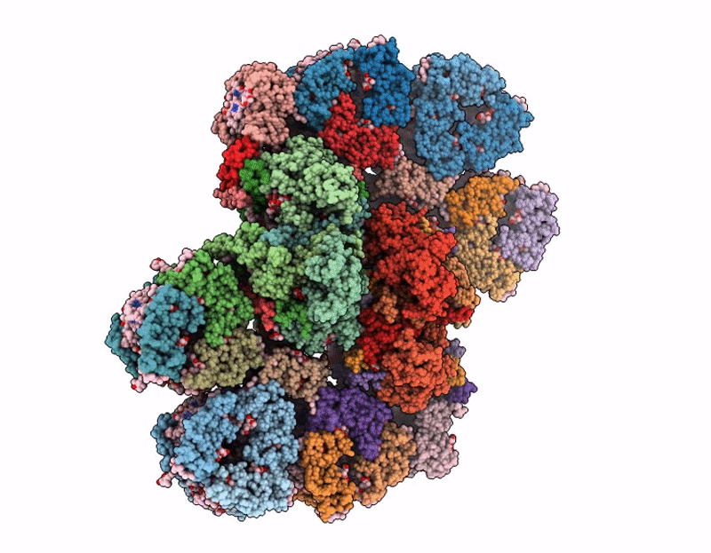 9K7V image