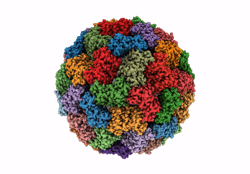 9K87 image