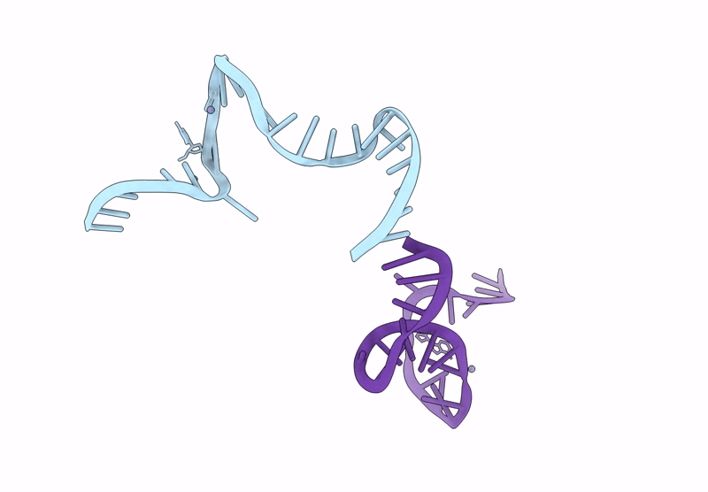 9K8P image