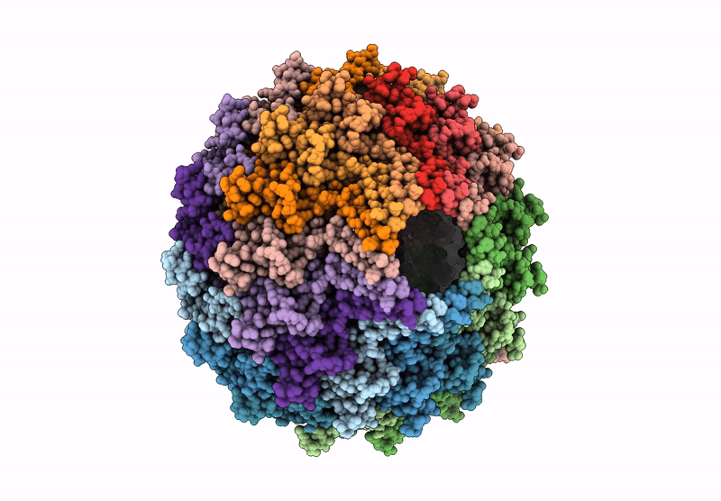 9K8V image