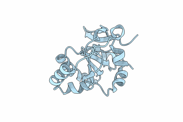 9K98 image