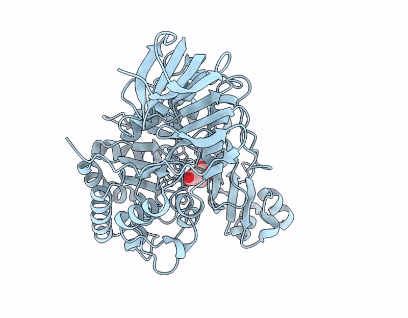 9KB4 image