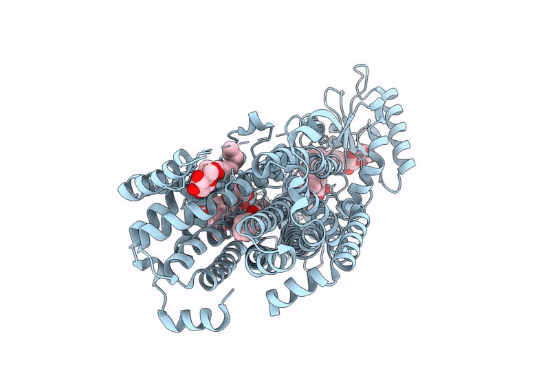 9KBE image