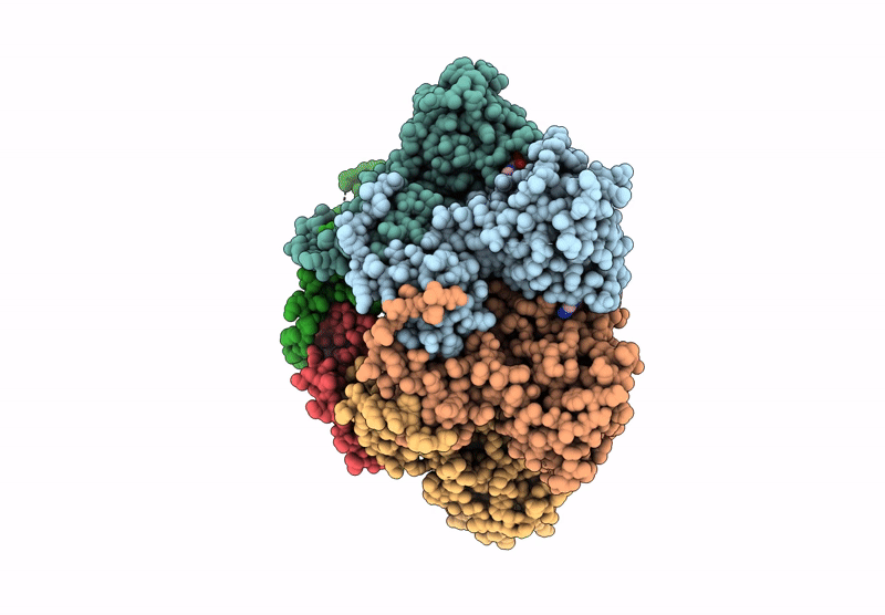 9KBH image