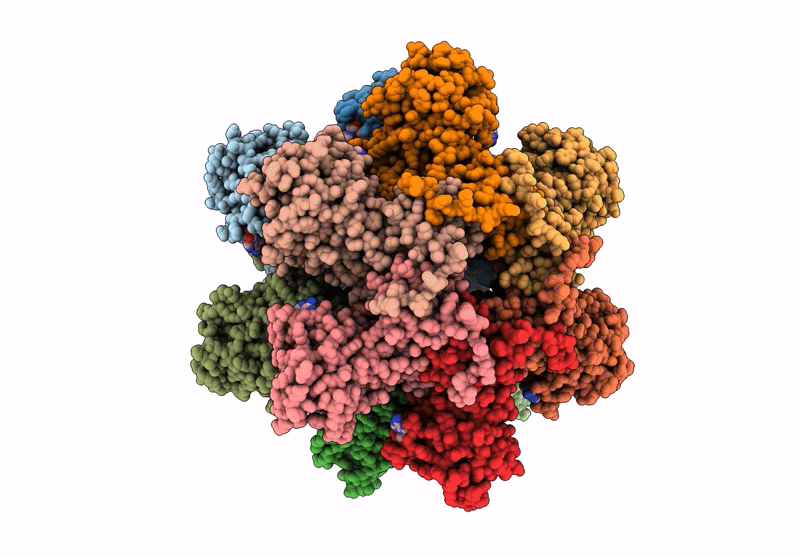 9KBI image