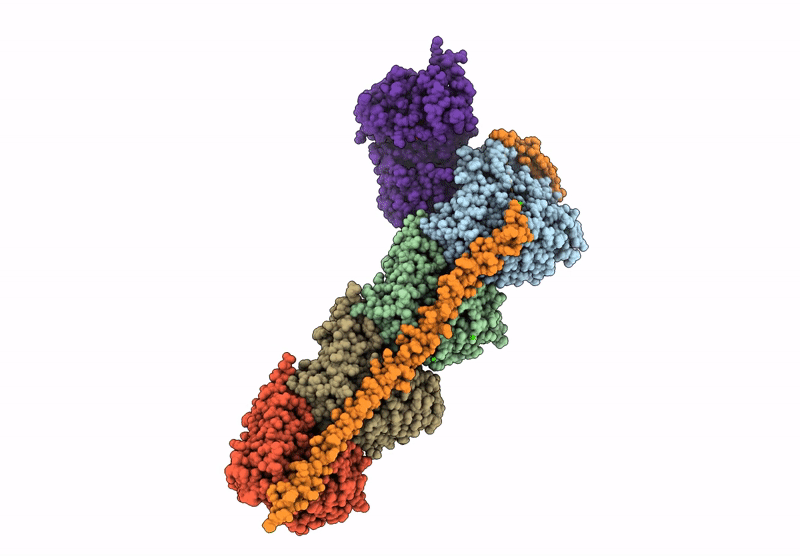 9KBN image