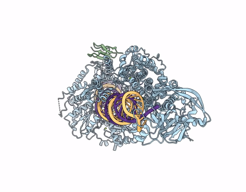 9KBZ image