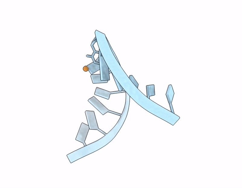 9KCC image