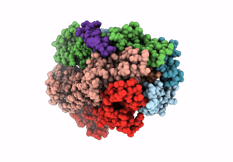 9KCH image