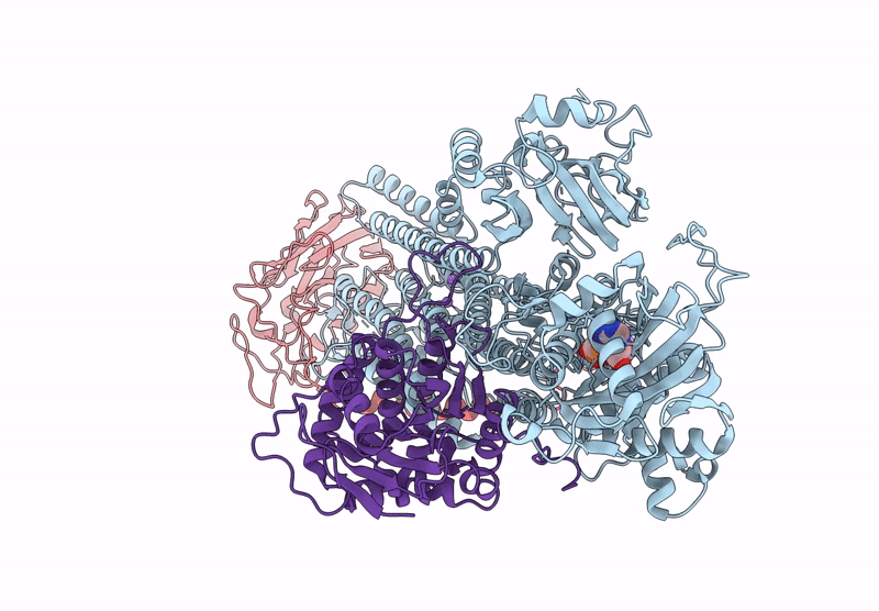 9KCL image