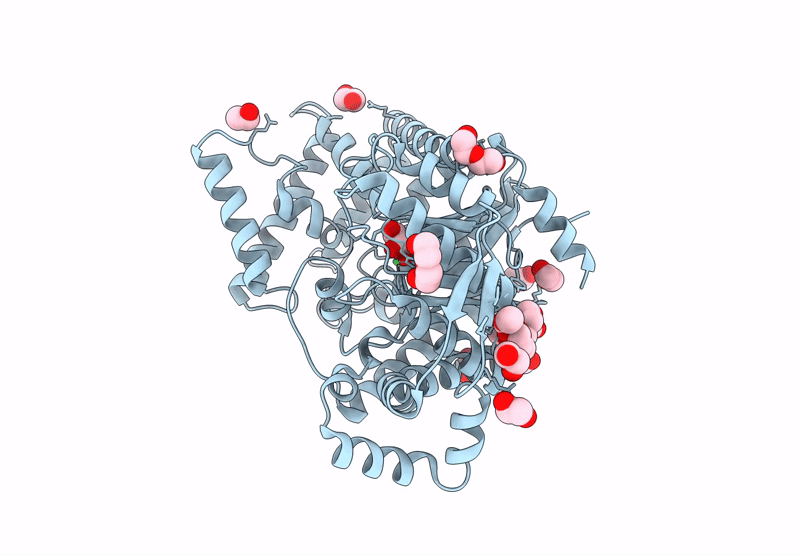 9KCS image